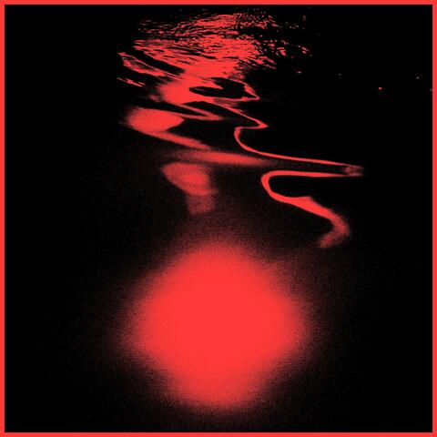 blood in the water