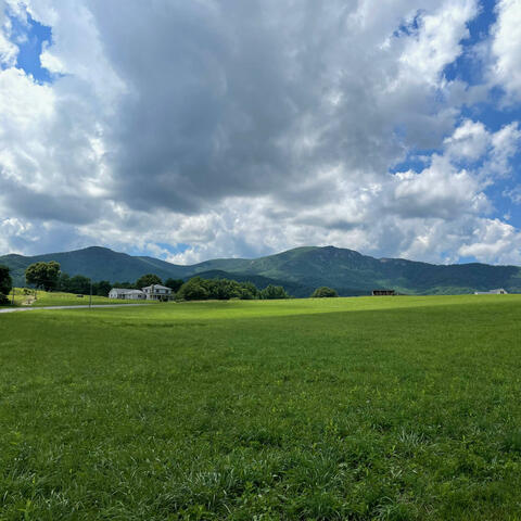 Waitin' on the Slow Reveal