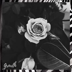 Growth