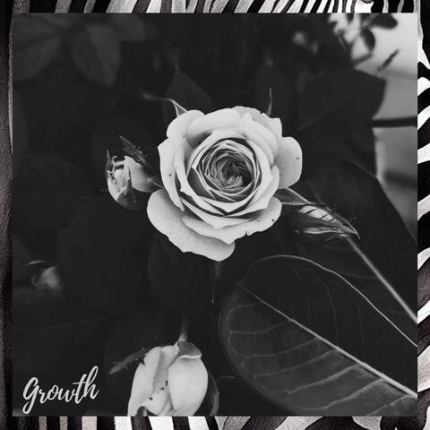 Growth
