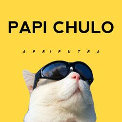 Papi Chulo