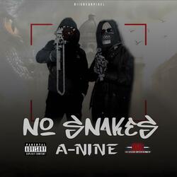 No Snakes