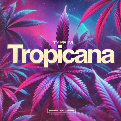 Tropicana