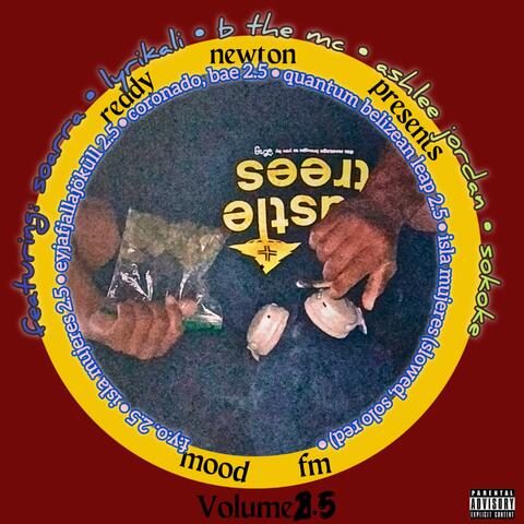 reddy newton presents: mood fm, vol. 2.5
