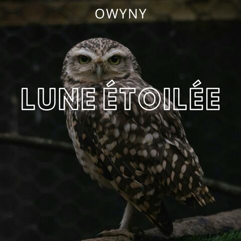Lune Étoilée