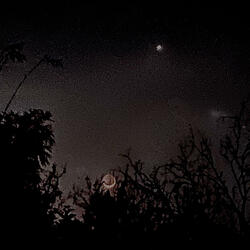 track no.3