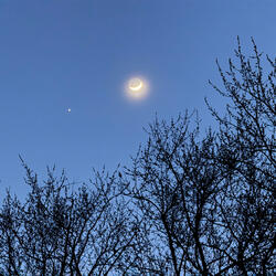 To The Moon and Back by Nancy Vencill