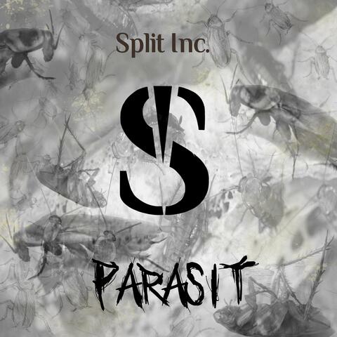 Parasit