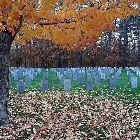 live long Pt. 2 (feat. Yvng Ryzen & iihatesnow) [Live]