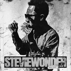 STEVIE WONDER