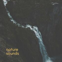 nature sounds