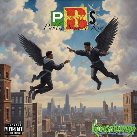 PBS: PUBLIC SCHOOL KID