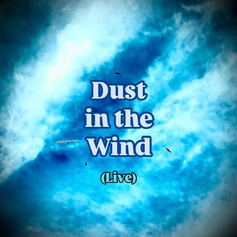 Dust in the Wind (Live)