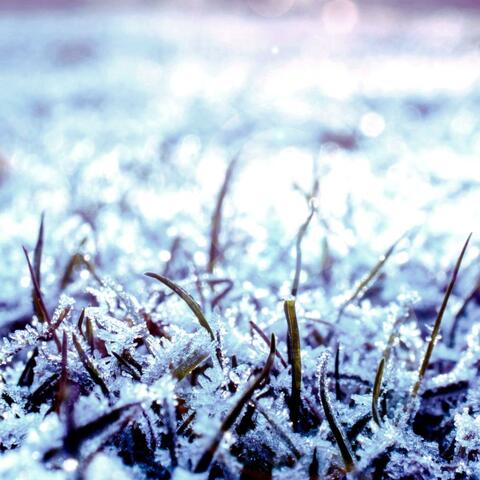 Frozen Ground (feat. Kryštof Konvičný)