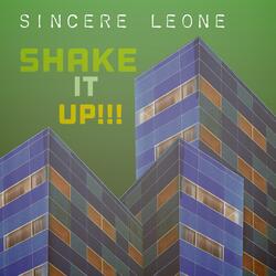 Shake It Up (Slowed+Reverb)