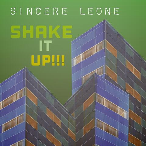 Shake It Up (Slowed+Reverb)