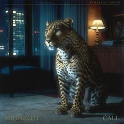 Midnight Call (feat. vaporwave error)