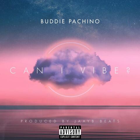 Can I Vibe?