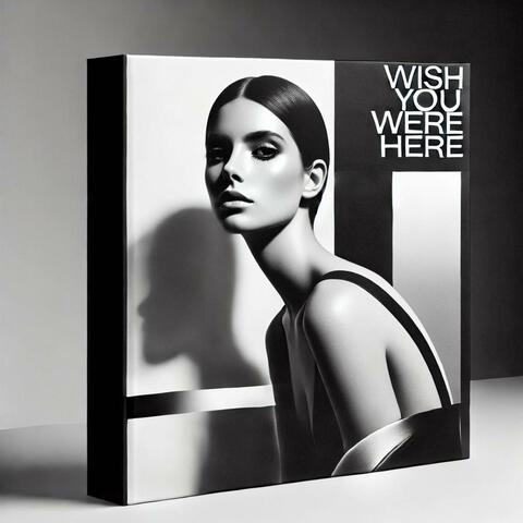 Wish You Were Here (Acoustic)