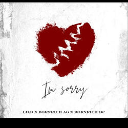 I'm Sorry (feat. BornRich AG & BornRich DC)