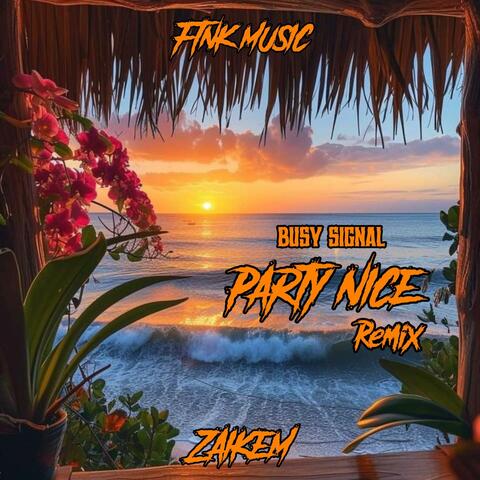 Party Nice Zaikem (Remix)