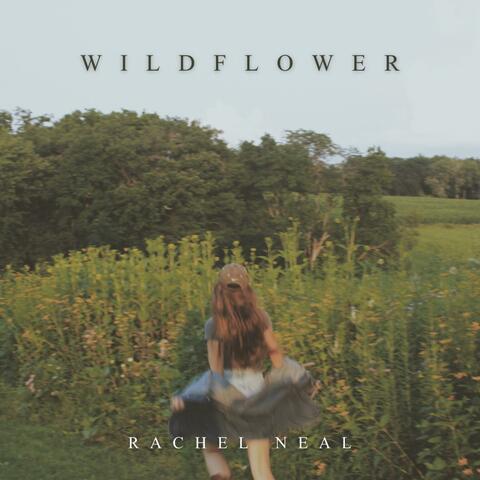 wildflower