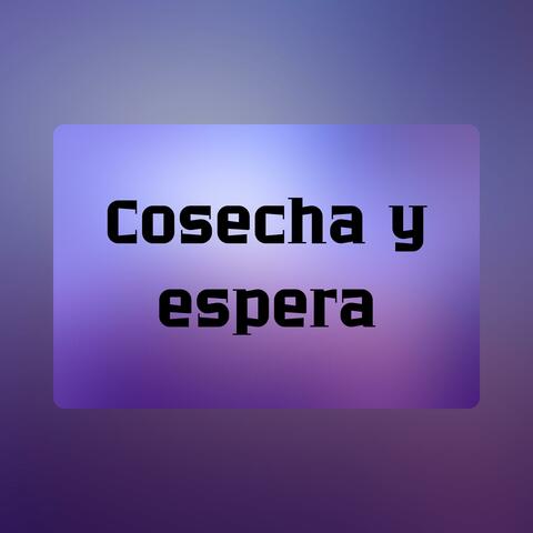 Cosecha y espera