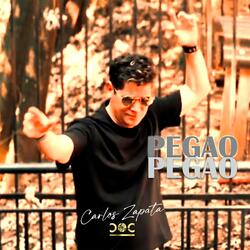 PEGAO PEGAO