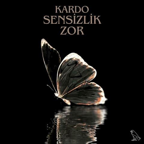 Sensizlik Zor