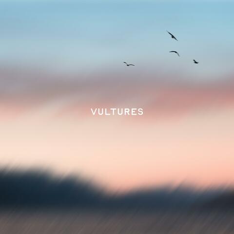 Vultures