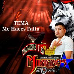 Me Haces Falta promesas