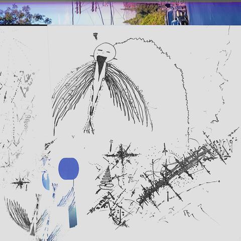 shed a feather
