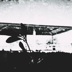 She Throw A Fit (feat. Cadn)