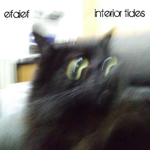Interior Tides