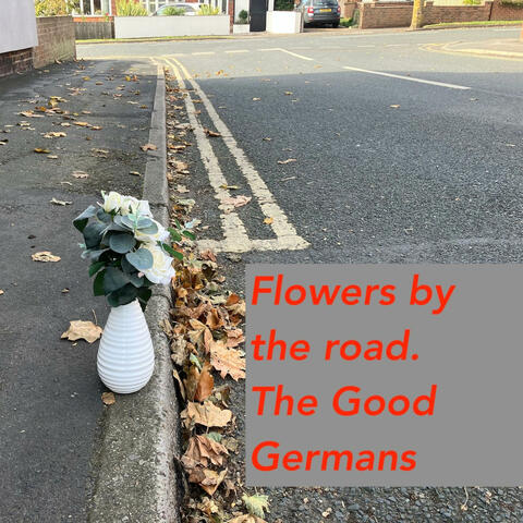 Flowers by the road