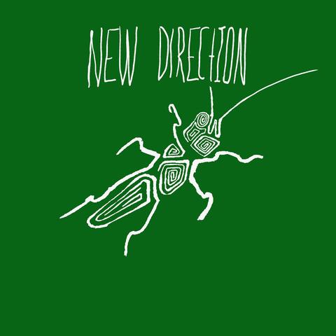new direction