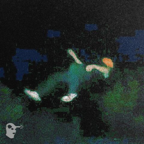 PARAPLEGIC