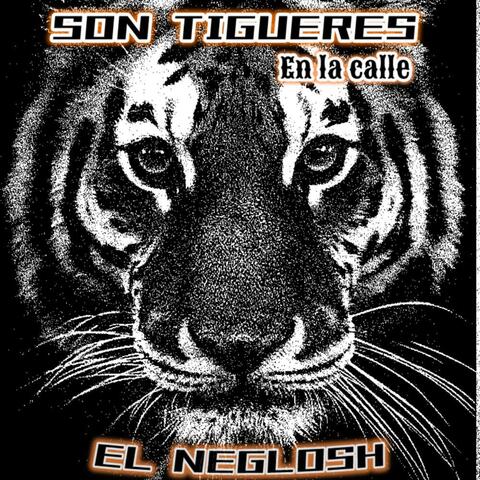 Son Tiguere En La Calle