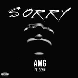 Sorry (feat. Benji)