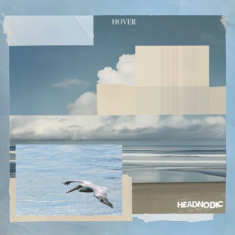 HOVER