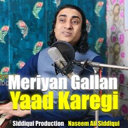 Meriyan Gallan Yaad Karegi