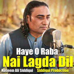 Haye O Raba Nahi Lagda Dil Mera