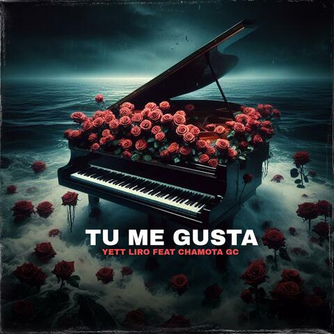 TU ME GUSTA (feat. Chamotagc)