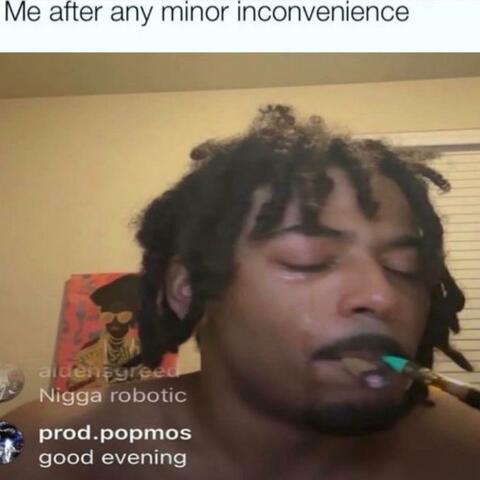 contesta