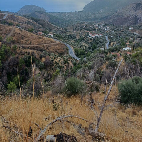 Erisem