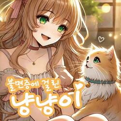 불면증에 걸린 냥냥이