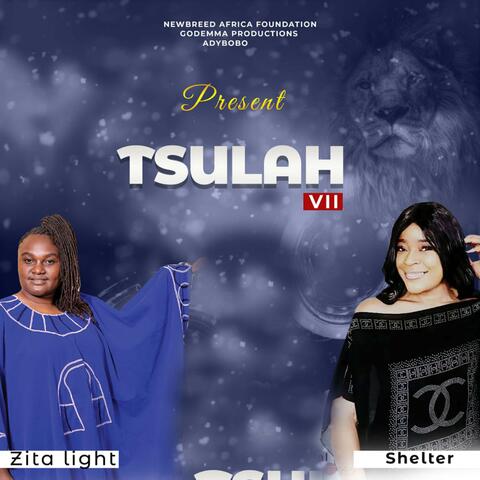 Tsulah VII (feat. Shelter)