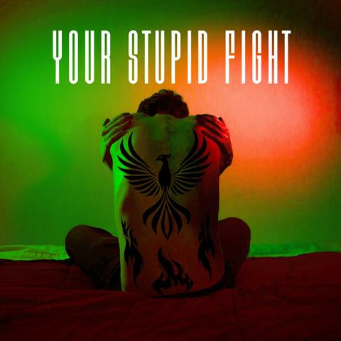 Your stupid fight