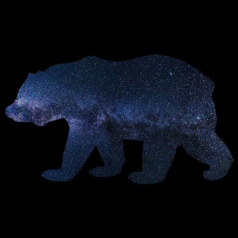 Midnight Bear