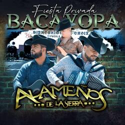 Corrido de Hugo Diaz